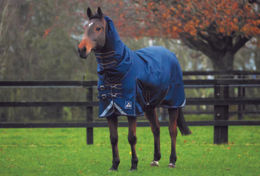 Mackey Wicklow Turnout Rug