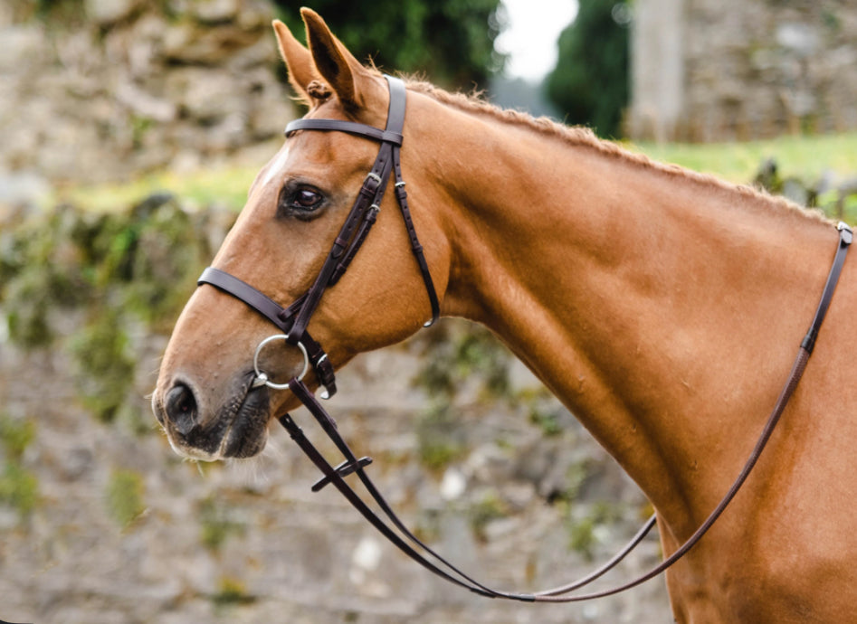 Mackey Classic Hunt Bridle