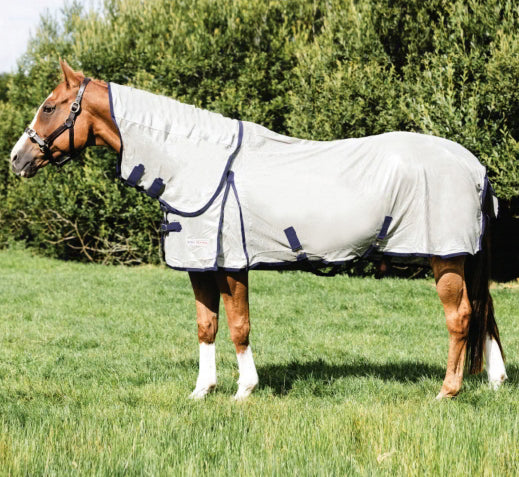 Equi-Sential Fly Rug