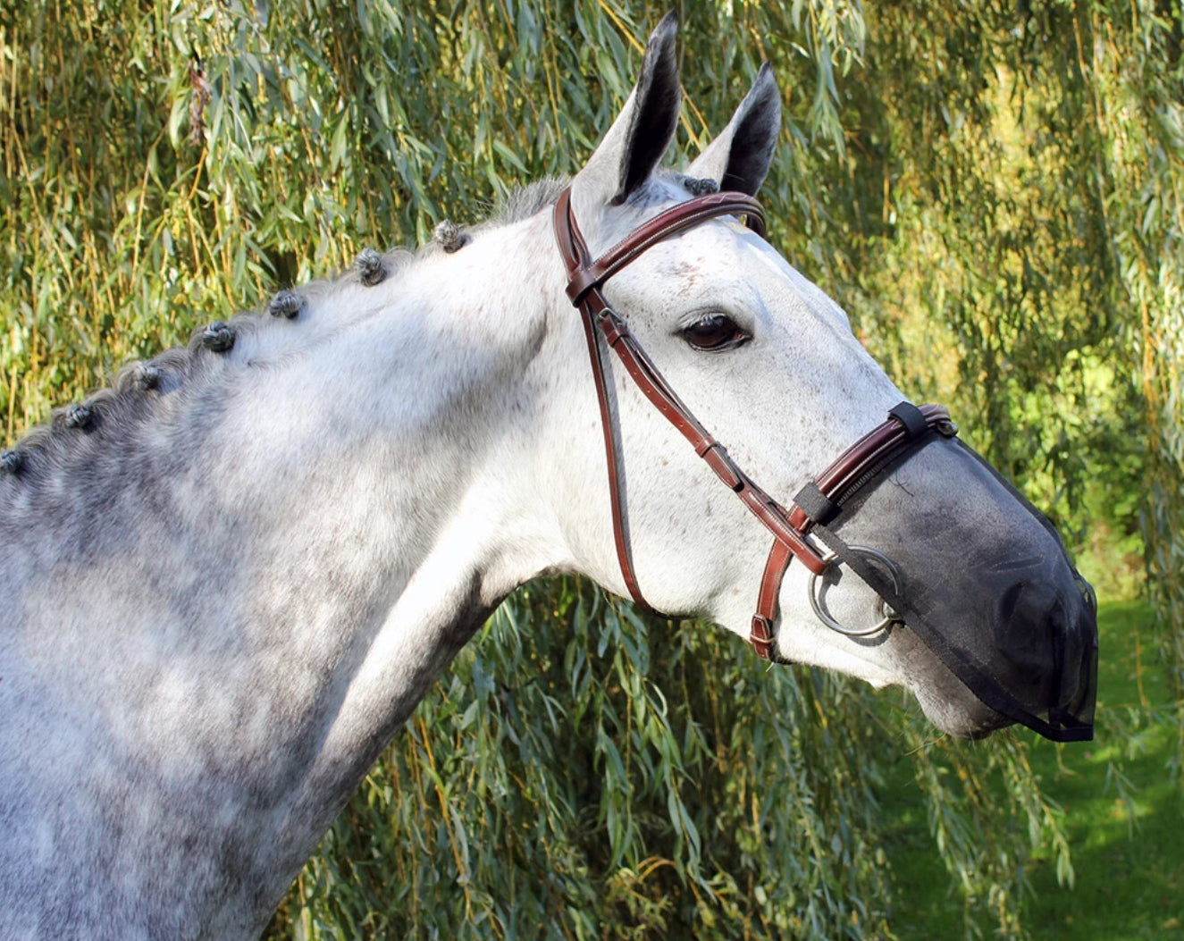 Anti-Fly Nose Protection