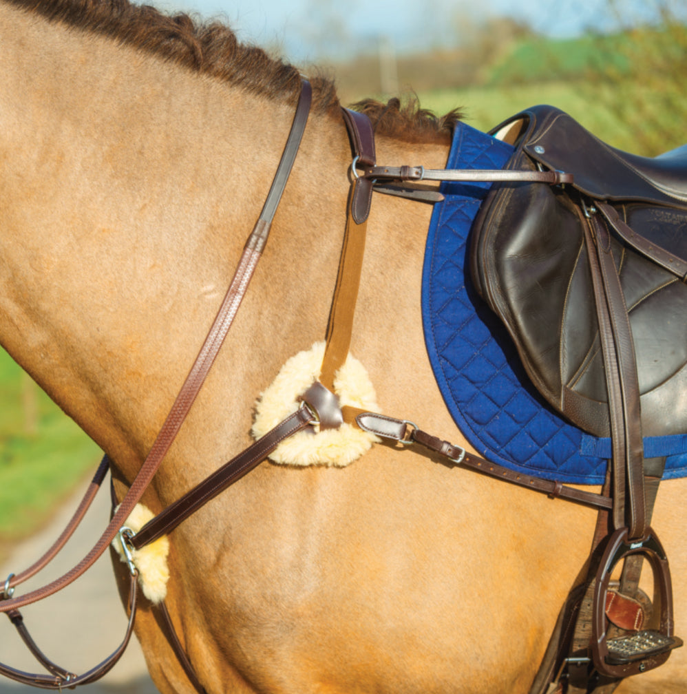 Mackey Classic 5 Point Breastplate